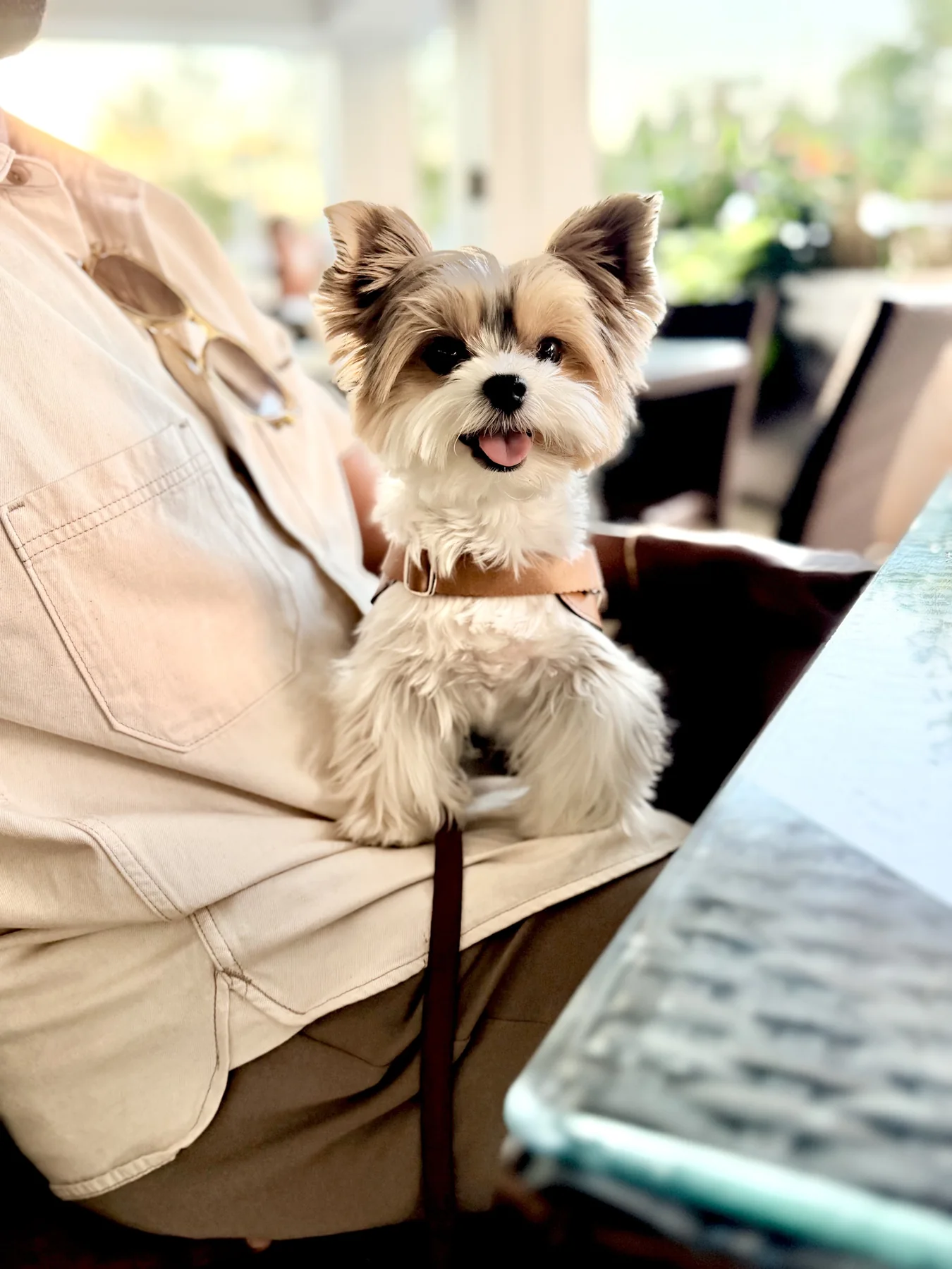Benny