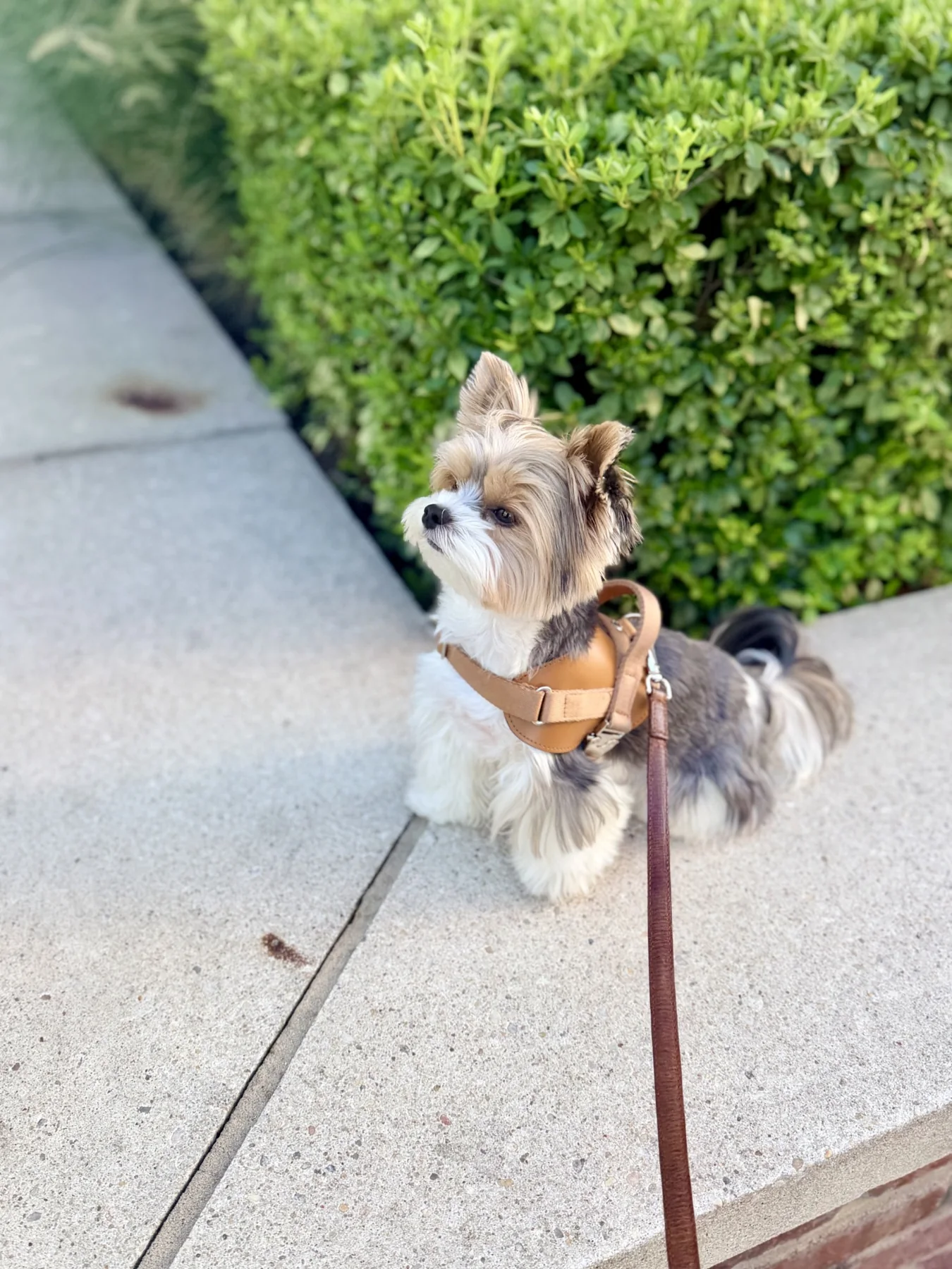 Benny
